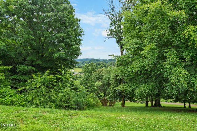 3315 Island Road, Blountville, TN 37617