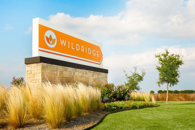 9011 Wildberry Road, Oak Point, TX 75068