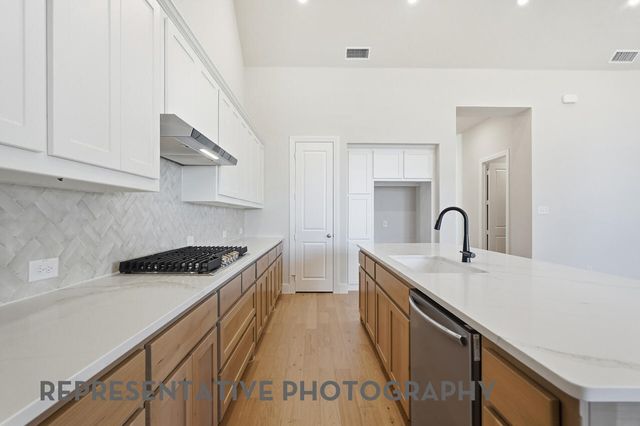 9011 Wildberry Road, Oak Point, TX 75068