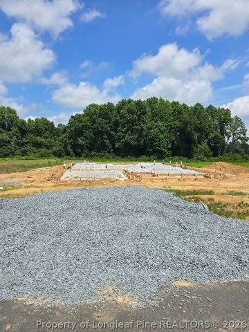 297 Margot Manor Drive, Benson, NC 27504