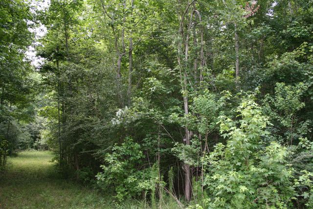 0 Kitfield Road, Moncks Corner, SC 29461