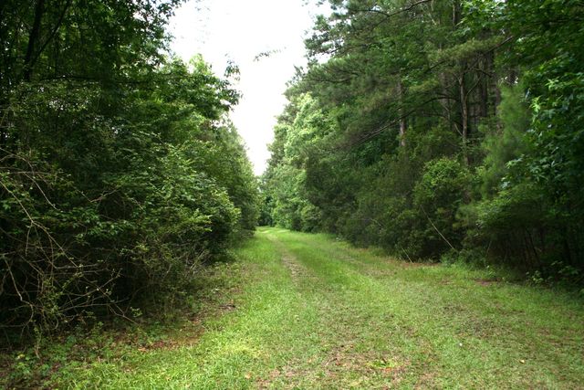 0 Kitfield Road, Moncks Corner, SC 29461