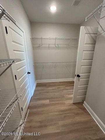 6070 E River Birch Road, Walls, MS 38680