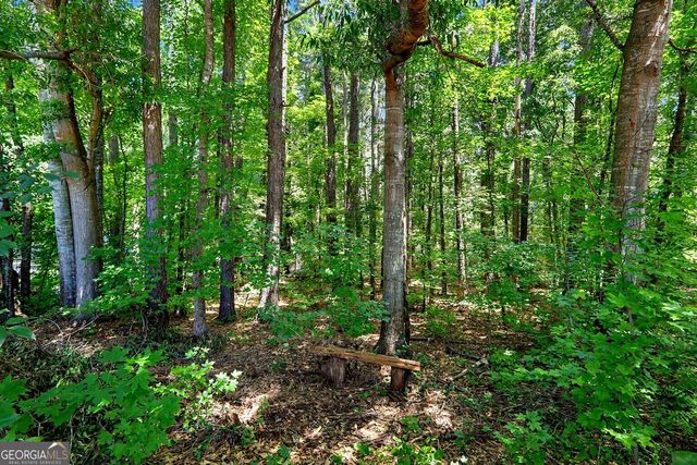 4 White Oak Lane, Sharpsburg, GA 30277