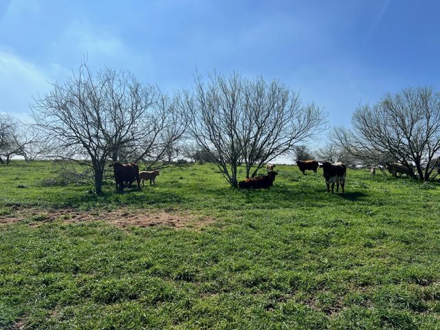 001 Blezinger Road, New Ulm, TX 78950