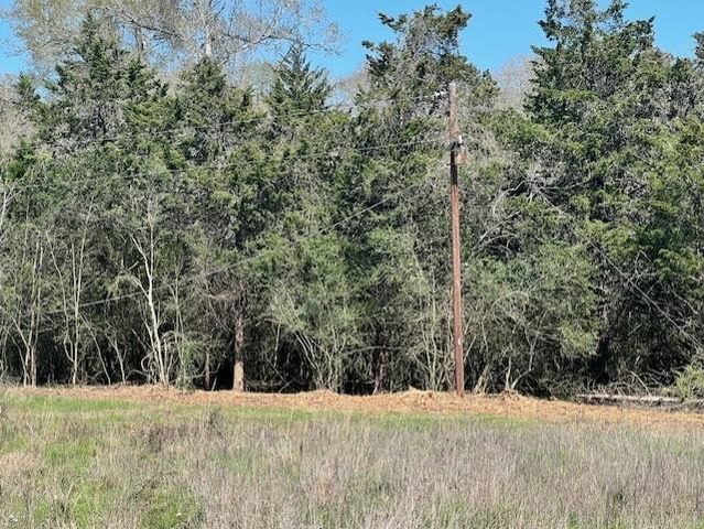 001 Blezinger Road, New Ulm, TX 78950