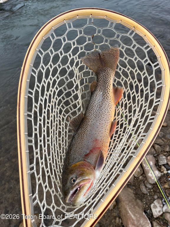484 PHEASANT TAIL, Thayne, WY 83127 photo 46