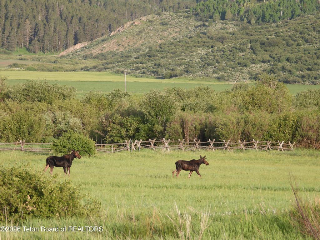 484 PHEASANT TAIL, Thayne, WY 83127 photo 48