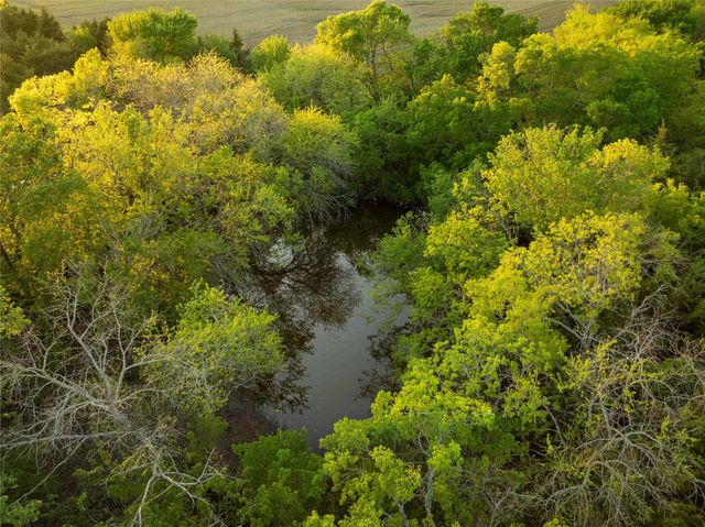 934 Everheart Road N, Bells, TX 75414