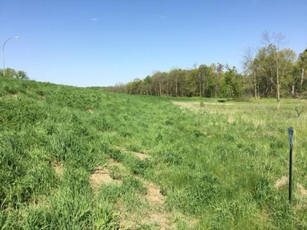 xxx County Road 24 & 63rd Ave, Cannon Falls, MN 55009 — photo 2