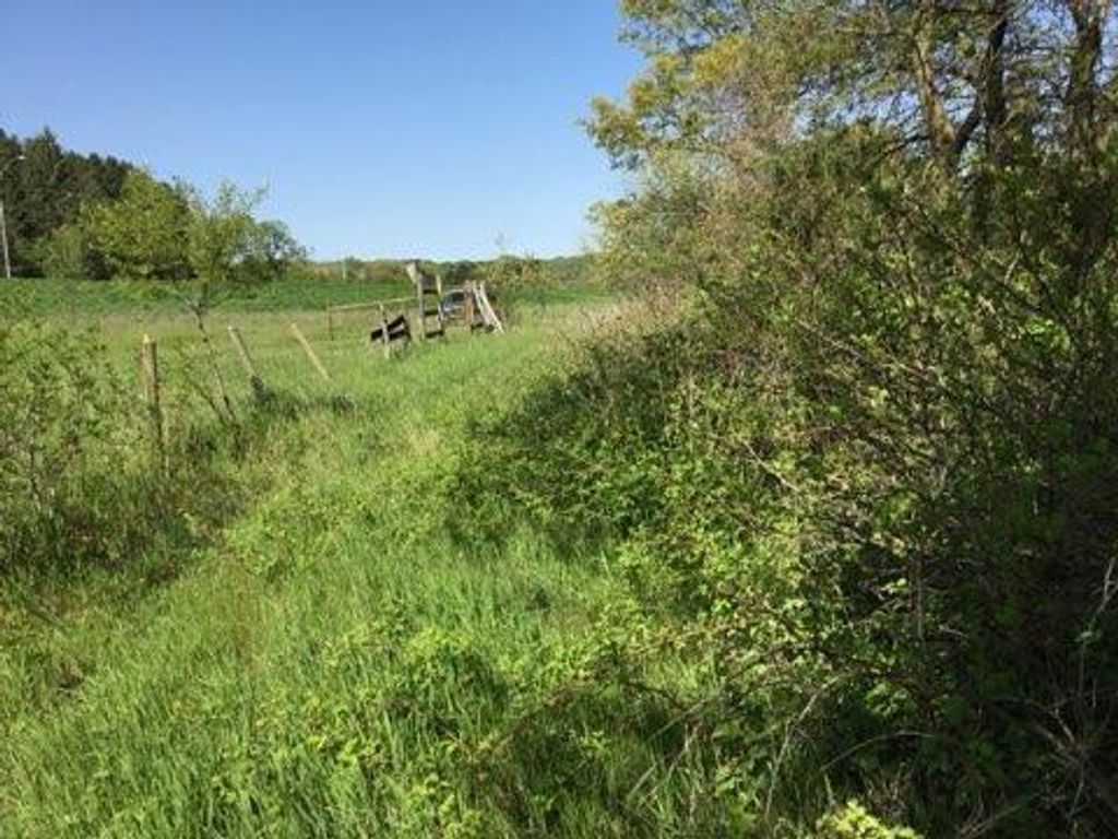 xxx County Road 24 & 63rd Ave, Cannon Falls, MN 55009 — photo 3