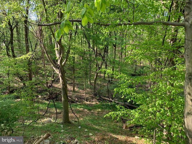 0-CED CEDAR GROVE RD, Broomall, PA 19008