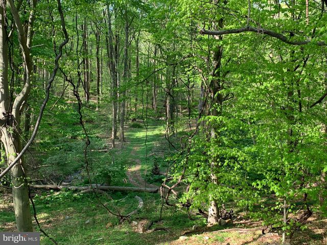 0-CED CEDAR GROVE RD, Broomall, PA 19008