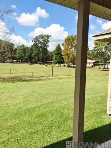 16325 Timberstone Dr, Prairieville, LA 70769