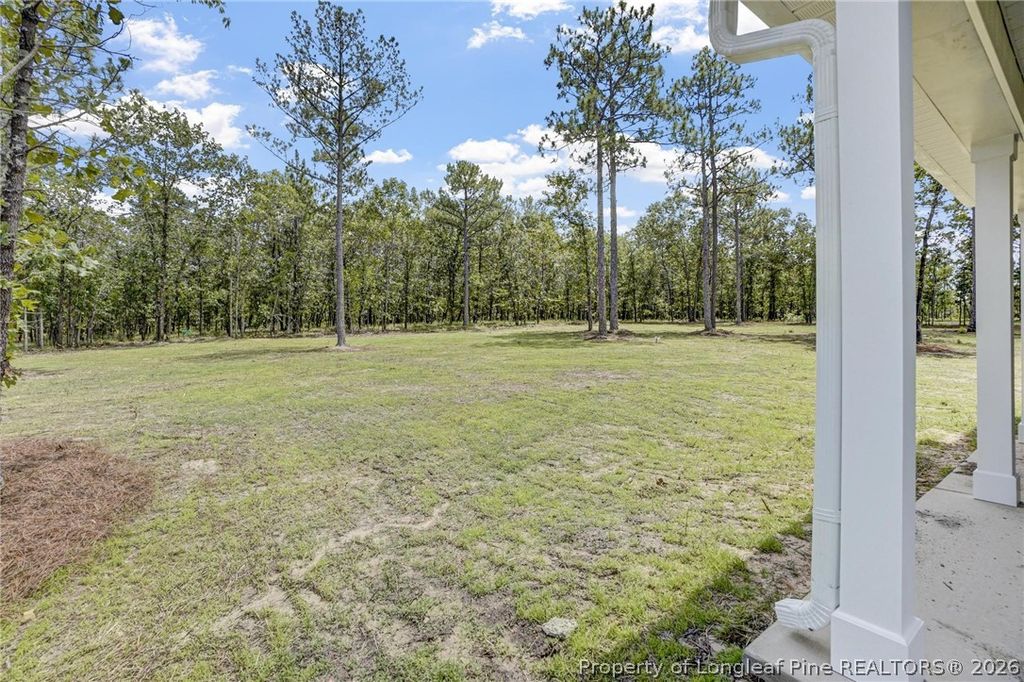 348 Travelers Way, Lillington, NC 27546 — photo 20