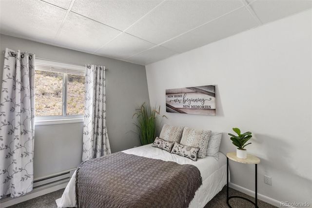 301 Circle Drive, Florissant, CO 80816