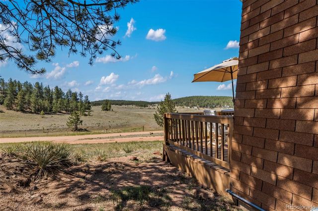 301 Circle Drive, Florissant, CO 80816