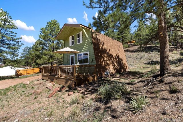 301 Circle Drive, Florissant, CO 80816