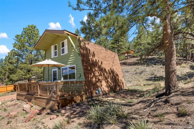 301 Circle Drive, Florissant, CO 80816