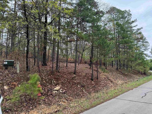 37 TAMAYO WAY, Hot Springs Village, AR 71909