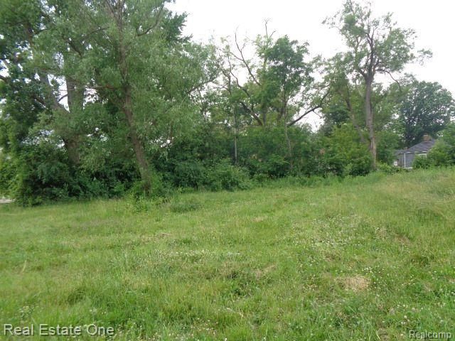 19411 Kentfield Street, Detroit, MI 48219