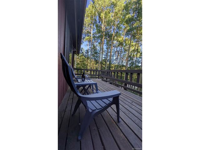 288 Roberts Rd, Alma, CO 80420