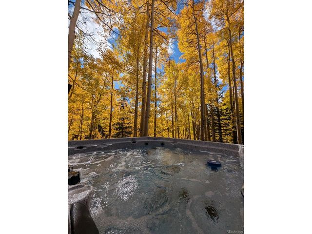 288 Roberts Rd, Alma, CO 80420