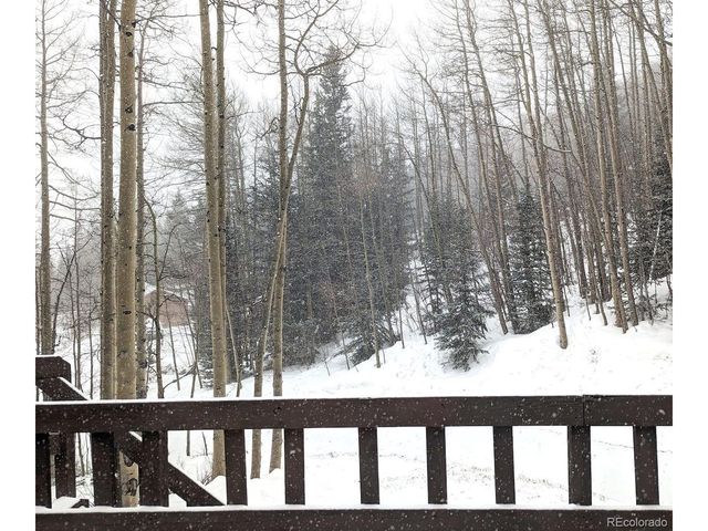 288 Roberts Rd, Alma, CO 80420