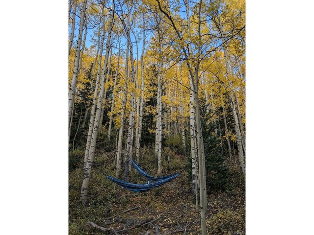 288 Roberts Rd, Alma, CO 80420