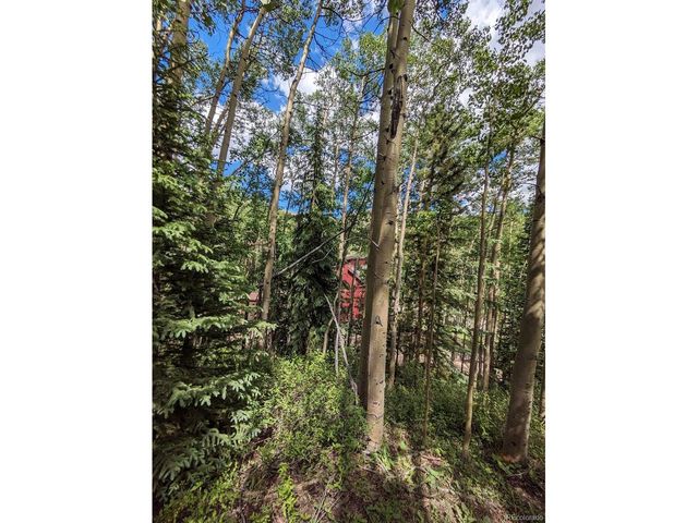 288 Roberts Rd, Alma, CO 80420