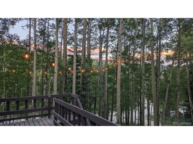 288 Roberts Rd, Alma, CO 80420