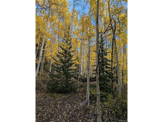 288 Roberts Rd, Alma, CO 80420