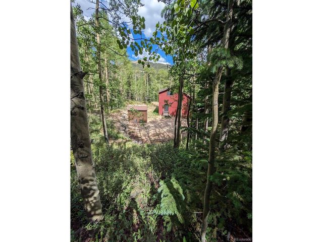 288 Roberts Rd, Alma, CO 80420