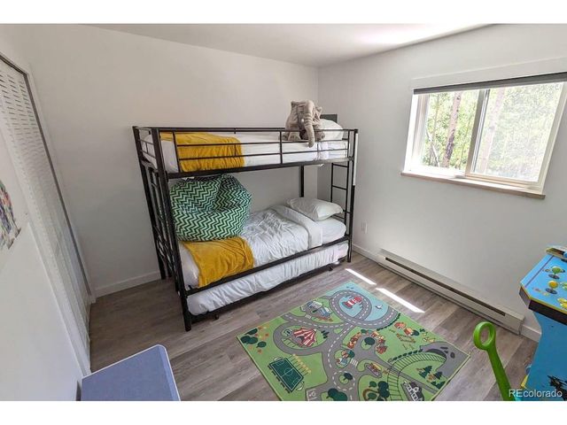 288 Roberts Rd, Alma, CO 80420