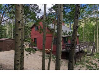 288 Roberts Rd, Alma, CO 80420