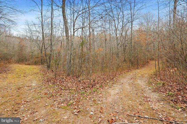 12749 ORANGE PLANK RD, Locust Grove, VA 22508