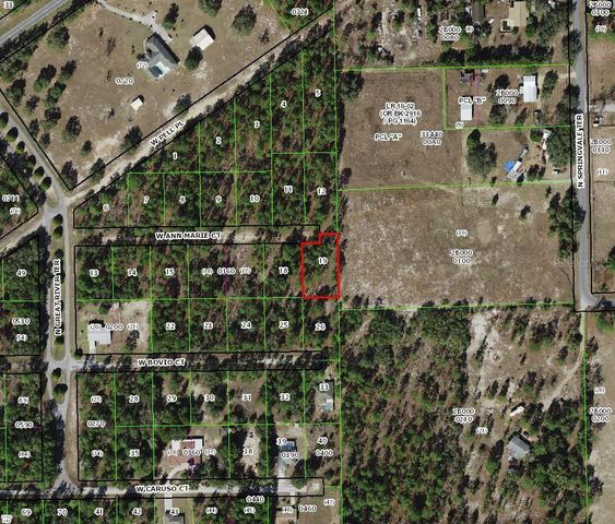 6020 W ANN MARIE COURT, Dunnellon, FL 34433