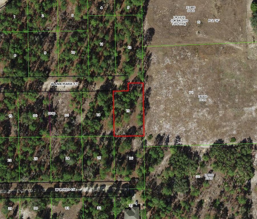 6020 W ANN MARIE COURT, Dunnellon, FL 34433