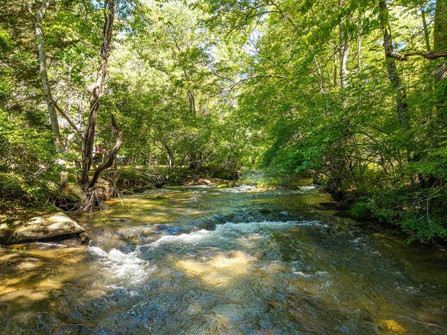 86 Tipton Court, Cherry Log, GA 30522