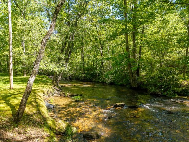 86 Tipton Court, Cherry Log, GA 30522