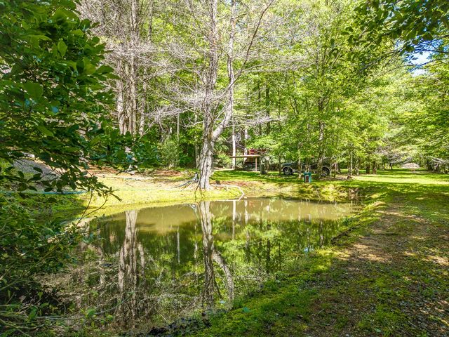 86 Tipton Court, Cherry Log, GA 30522