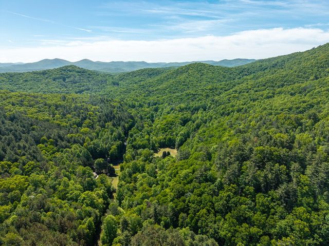 86 Tipton Court, Cherry Log, GA 30522