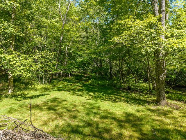 86 Tipton Court, Cherry Log, GA 30522