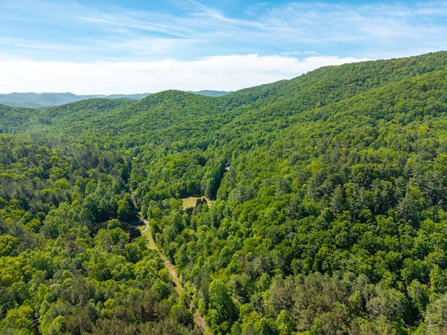 86 Tipton Court, Cherry Log, GA 30522
