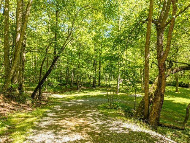 86 Tipton Court, Cherry Log, GA 30522