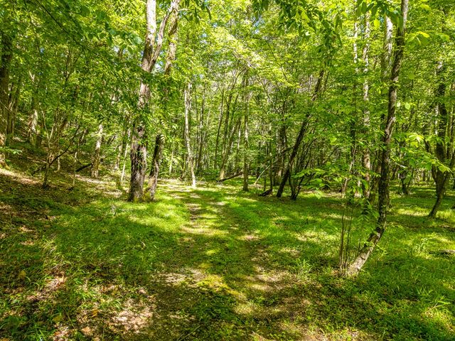 86 Tipton Court, Cherry Log, GA 30522