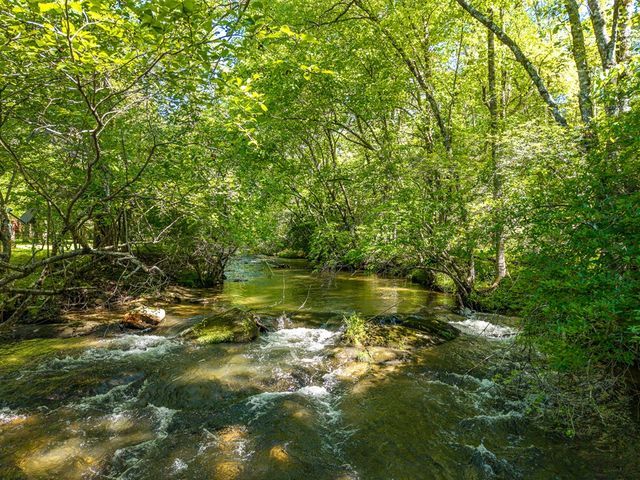 86 Tipton Court, Cherry Log, GA 30522