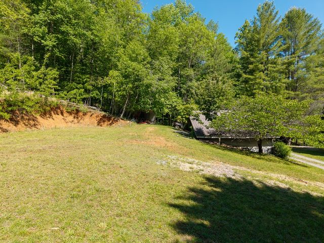86 Tipton Court, Cherry Log, GA 30522