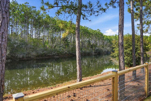 295 Medley Street, Inlet Beach, FL 32461