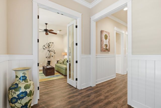 295 Medley Street, Inlet Beach, FL 32461